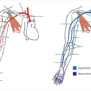 Medical Methods